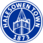 Halesown Town FC