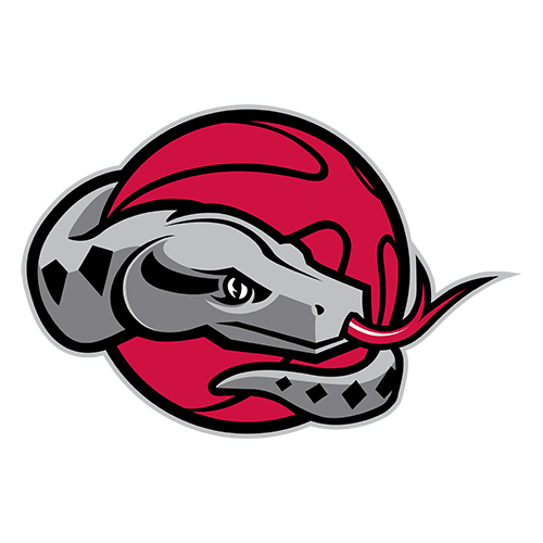 Rio Grande Valley Vipers
